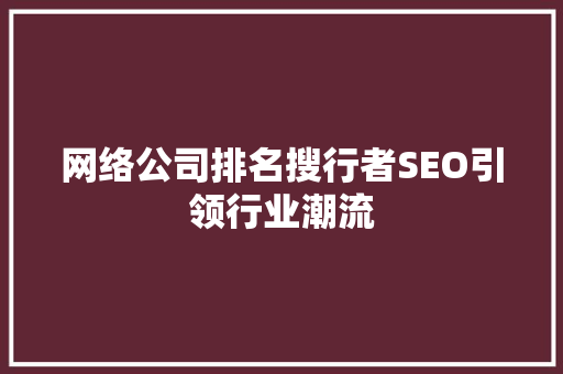 网络公司排名搜行者SEO引领行业潮流