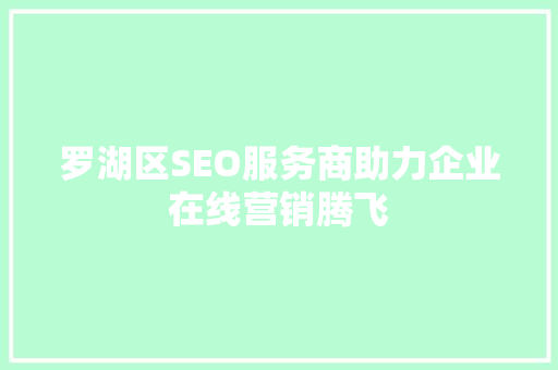 罗湖区SEO服务商助力企业在线营销腾飞