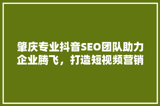 肇庆专业抖音SEO团队助力企业腾飞，打造短视频营销新格局  第1张
