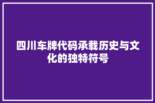 四川车牌代码承载历史与文化的独特符号