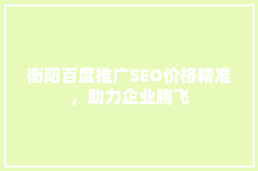 衡阳百度推广SEO价格精准，助力企业腾飞