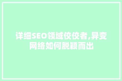 详细SEO领域佼佼者,异变网络如何脱颖而出