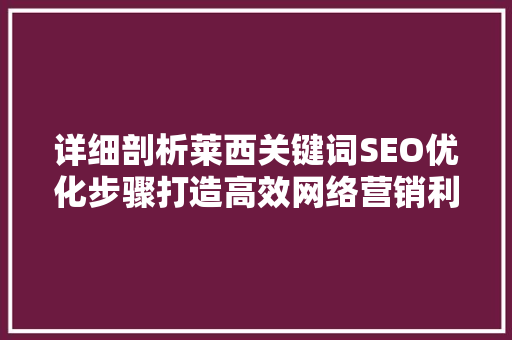 详细剖析莱西关键词SEO优化步骤打造高效网络营销利器