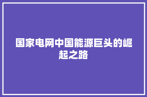 国家电网中国能源巨头的崛起之路