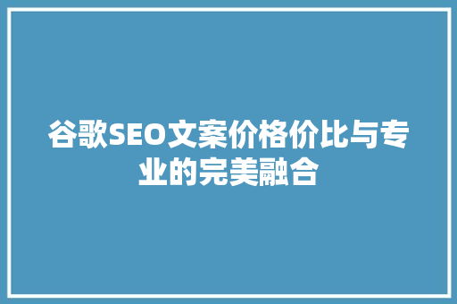 谷歌SEO文案价格价比与专业的完美融合