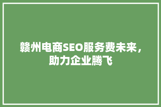 赣州电商SEO服务费未来，助力企业腾飞  第1张
