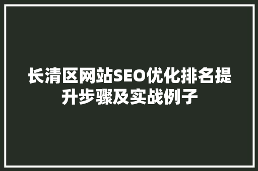 长清区网站SEO优化排名提升步骤及实战例子
