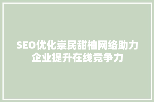 SEO优化崇民甜柚网络助力企业提升在线竞争力