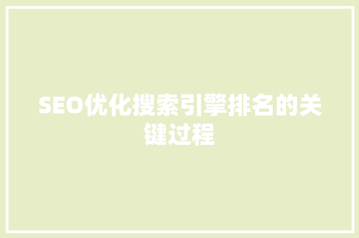 SEO优化搜索引擎排名的关键过程