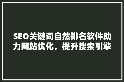 SEO关键词自然排名软件助力网站优化，提升搜索引擎排名