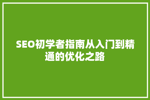 SEO初学者指南从入门到精通的优化之路