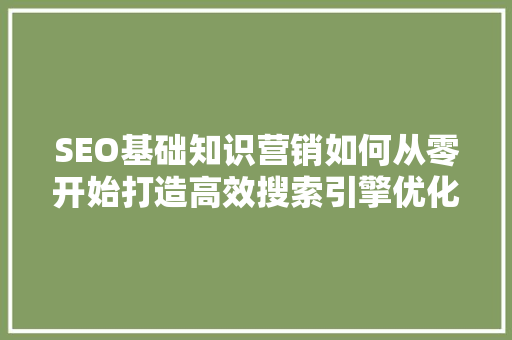 SEO基础知识营销如何从零开始打造高效搜索引擎优化步骤  第1张