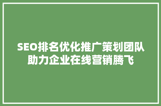 SEO排名优化推广策划团队助力企业在线营销腾飞