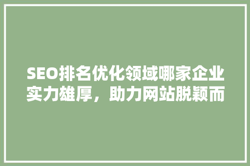 SEO排名优化领域哪家企业实力雄厚，助力网站脱颖而出