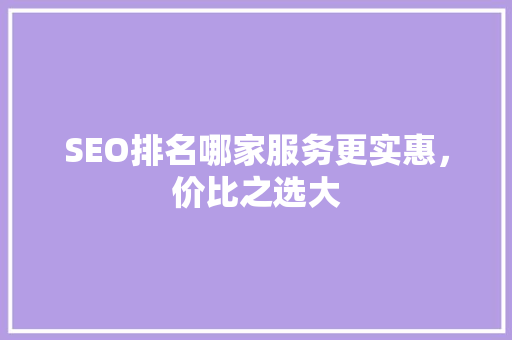 SEO排名哪家服务更实惠，价比之选大