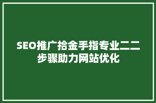 SEO推广拾金手指专业二二步骤助力网站优化