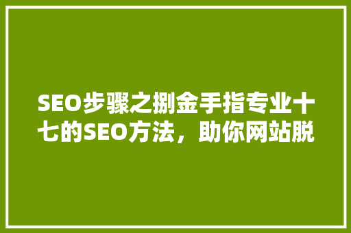 SEO步骤之捌金手指专业十七的SEO方法，助你网站脱颖而出