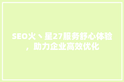 SEO火丶星27服务舒心体验，助力企业高效优化