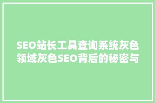 SEO站长工具查询系统灰色领域灰色SEO背后的秘密与应对步骤