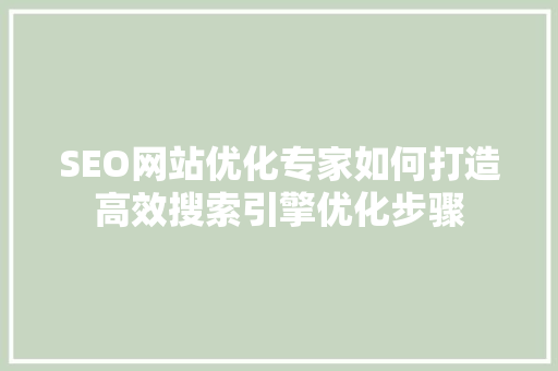 SEO网站优化专家如何打造高效搜索引擎优化步骤