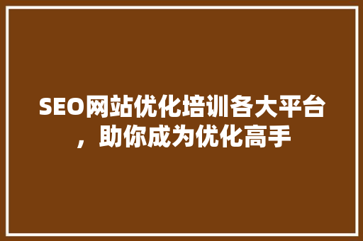 SEO网站优化培训各大平台，助你成为优化高手