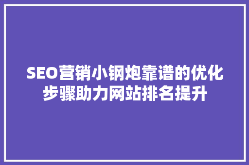 SEO营销小钢炮靠谱的优化步骤助力网站排名提升