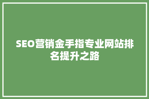 SEO营销金手指专业网站排名提升之路