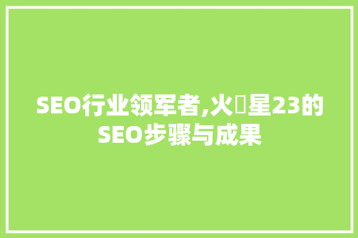 SEO行业领军者,火亅星23的SEO步骤与成果
