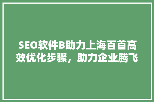SEO软件B助力上海百首高效优化步骤，助力企业腾飞