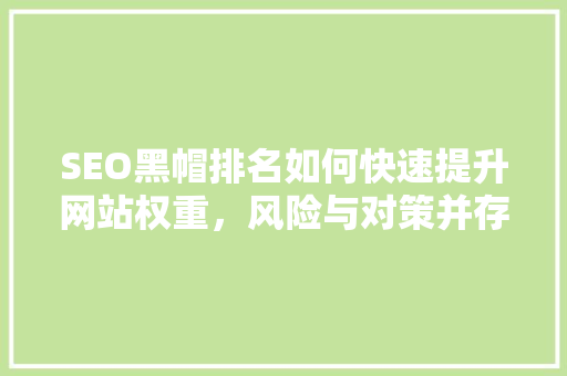 SEO黑帽排名如何快速提升网站权重，风险与对策并存