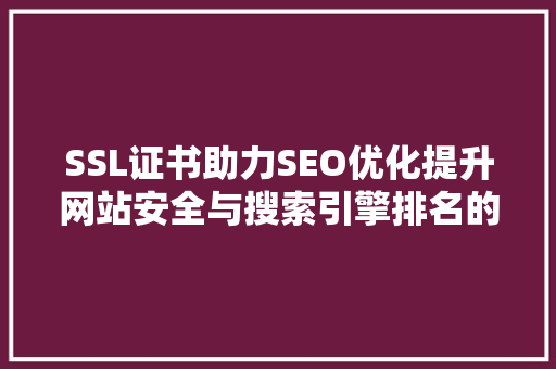 SSL证书助力SEO优化提升网站安全与搜索引擎排名的秘密武器