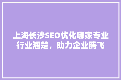 上海长沙SEO优化哪家专业行业翘楚，助力企业腾飞