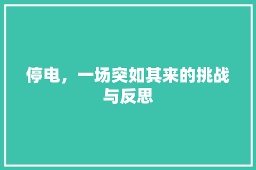 停电，一场突如其来的挑战与反思