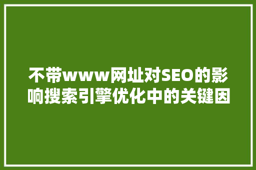不带www网址对SEO的影响搜索引擎优化中的关键因素