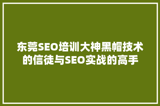 东莞SEO培训大神黑帽技术的信徒与SEO实战的高手