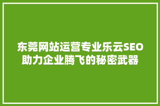 东莞网站运营专业乐云SEO助力企业腾飞的秘密武器