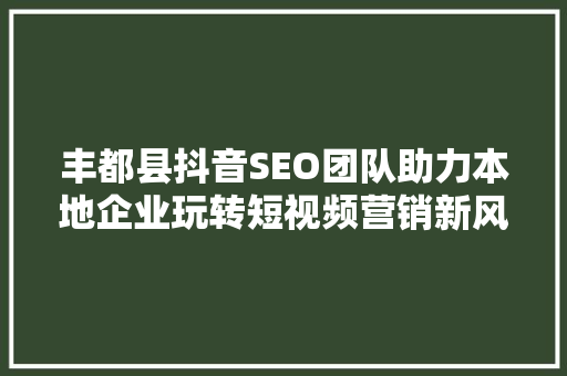 丰都县抖音SEO团队助力本地企业玩转短视频营销新风口
