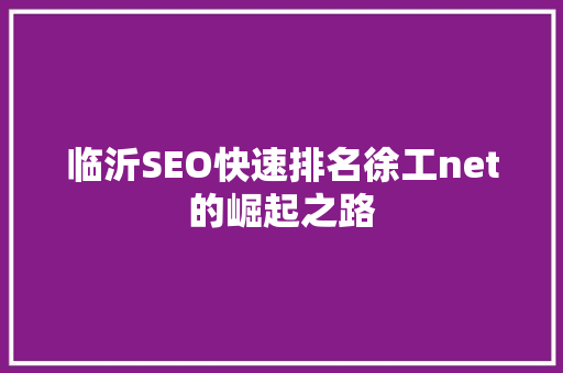 临沂SEO快速排名徐工net的崛起之路