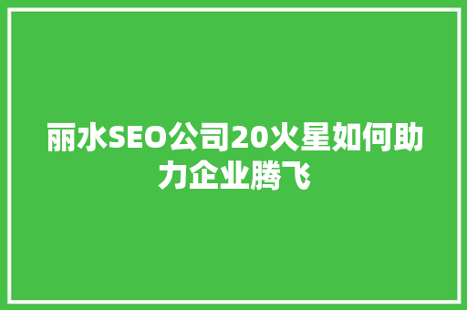丽水SEO公司20火星如何助力企业腾飞