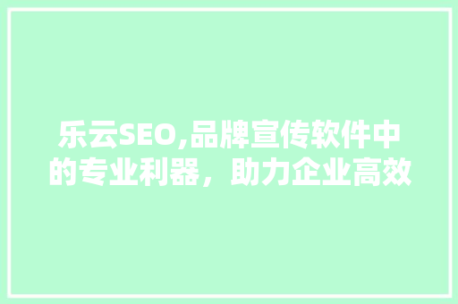 乐云SEO,品牌宣传软件中的专业利器，助力企业高效提升网站排名