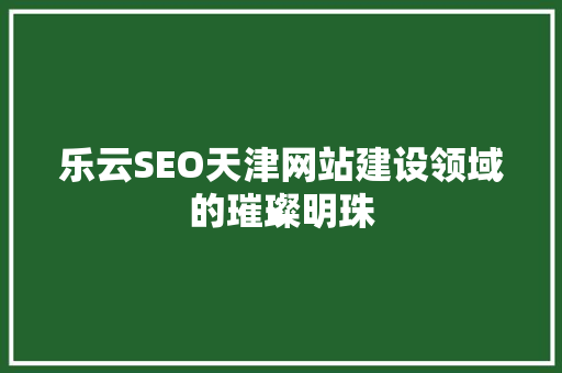 乐云SEO天津网站建设领域的璀璨明珠