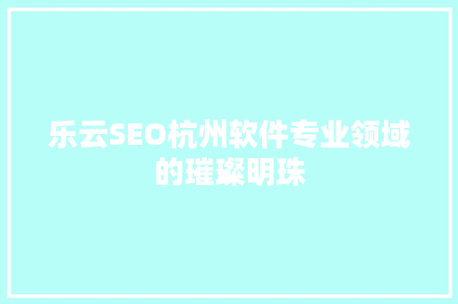 乐云SEO杭州软件专业领域的璀璨明珠