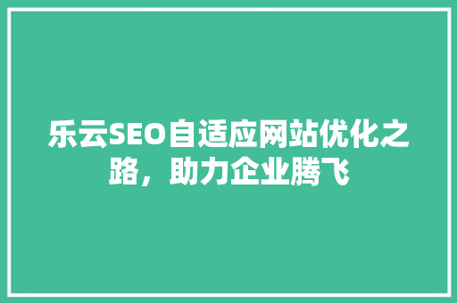 乐云SEO自适应网站优化之路，助力企业腾飞