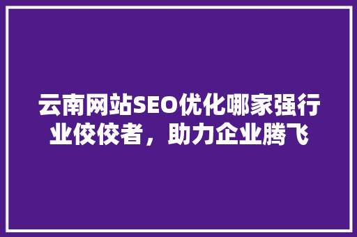 云南网站SEO优化哪家强行业佼佼者，助力企业腾飞