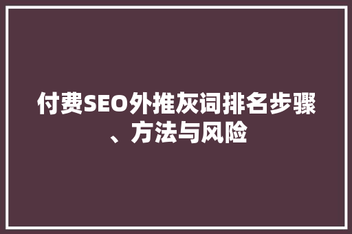 付费SEO外推灰词排名步骤、方法与风险