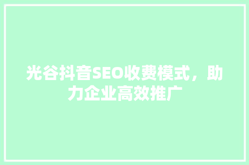 光谷抖音SEO收费模式，助力企业高效推广  第1张