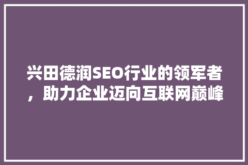 兴田德润SEO行业的领军者，助力企业迈向互联网巅峰