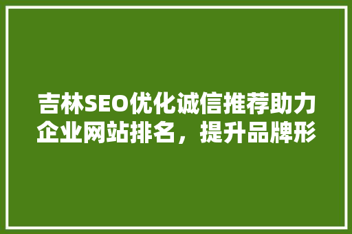 吉林SEO优化诚信推荐助力企业网站排名，提升品牌形象