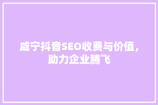 咸宁抖音SEO收费与价值，助力企业腾飞