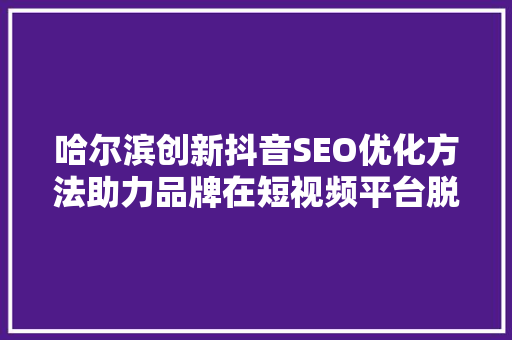 哈尔滨创新抖音SEO优化方法助力品牌在短视频平台脱颖而出